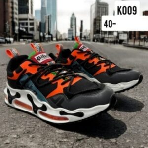 k009